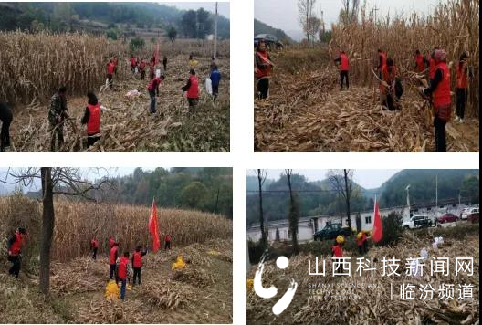 蒲县自然资源局2