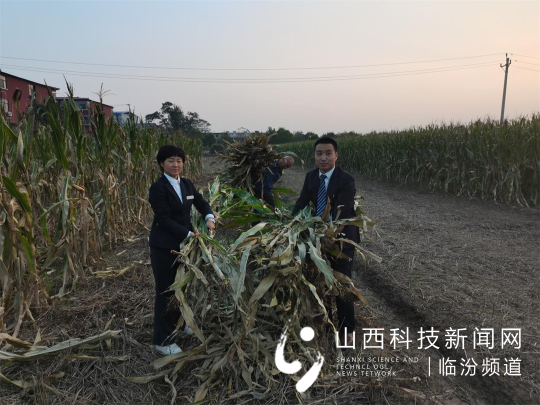 尧都农商银行金融服务保障汛期抢收备耕2