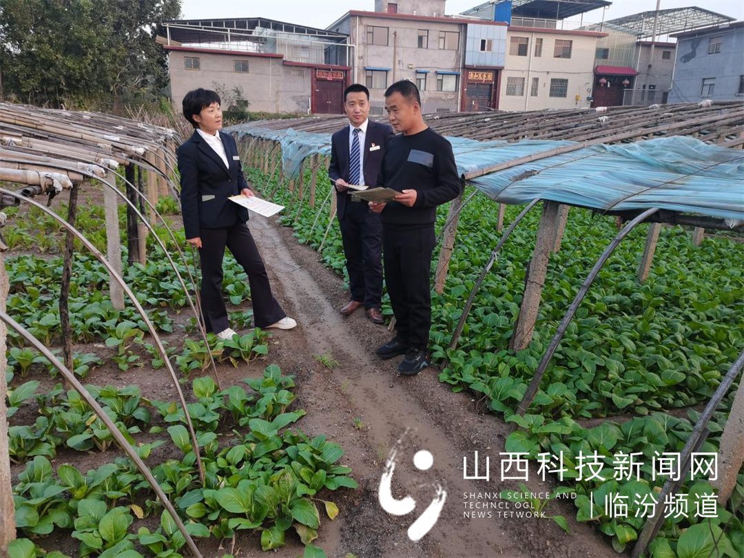 尧都农商银行金融服务保障汛期抢收备耕3