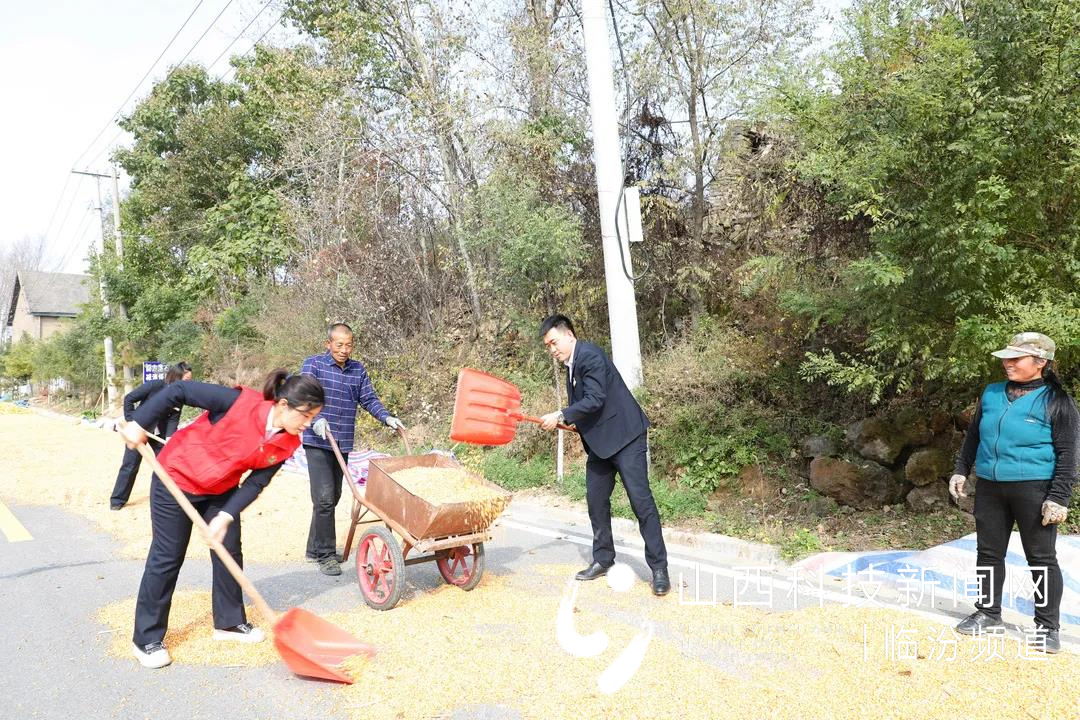 浮山农商银行开展&ldquo;弘扬扁担精神 服务乡村振兴&rdquo;系列党日活动11