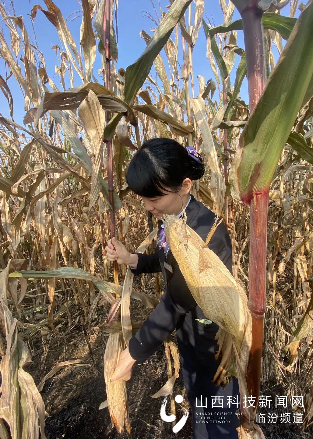 微信图片_20211028213354