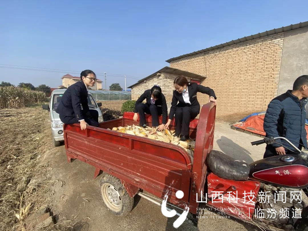 助农秋收解民忧 志愿行动暖人心3