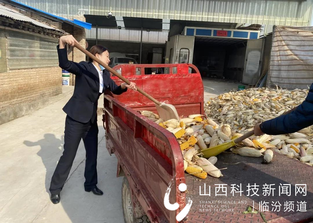 助农秋收解民忧 志愿行动暖人心4