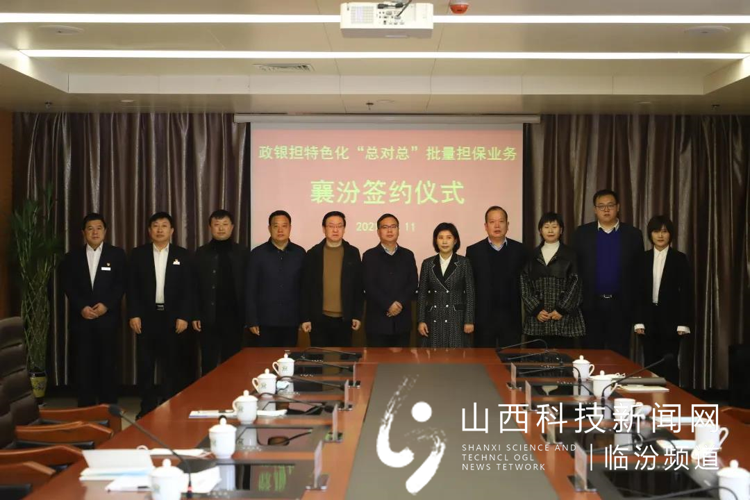 批量担保业务10