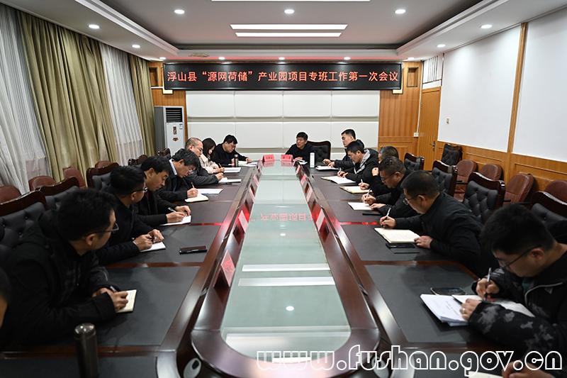 我县召开&ldquo;源网荷储&rdquo;产业园项目专班工作第一次会议