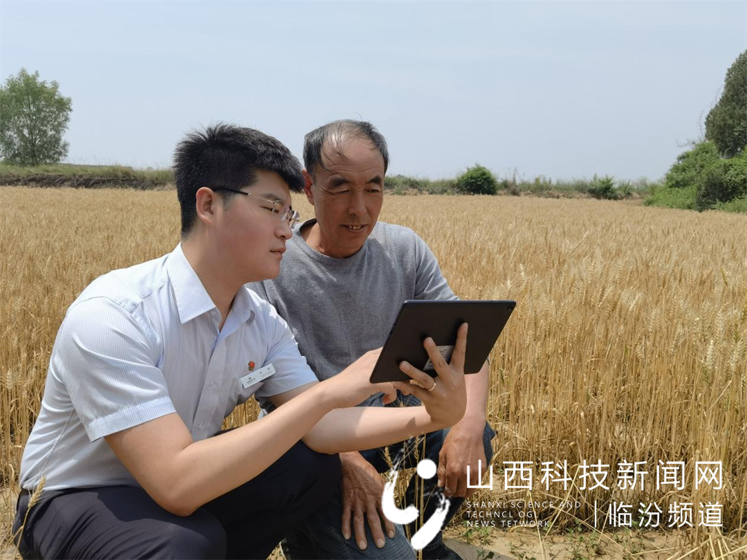 尧都农商银行细节里的温暖11